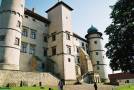 Photo gallery - Nowy Wisnicz Castle